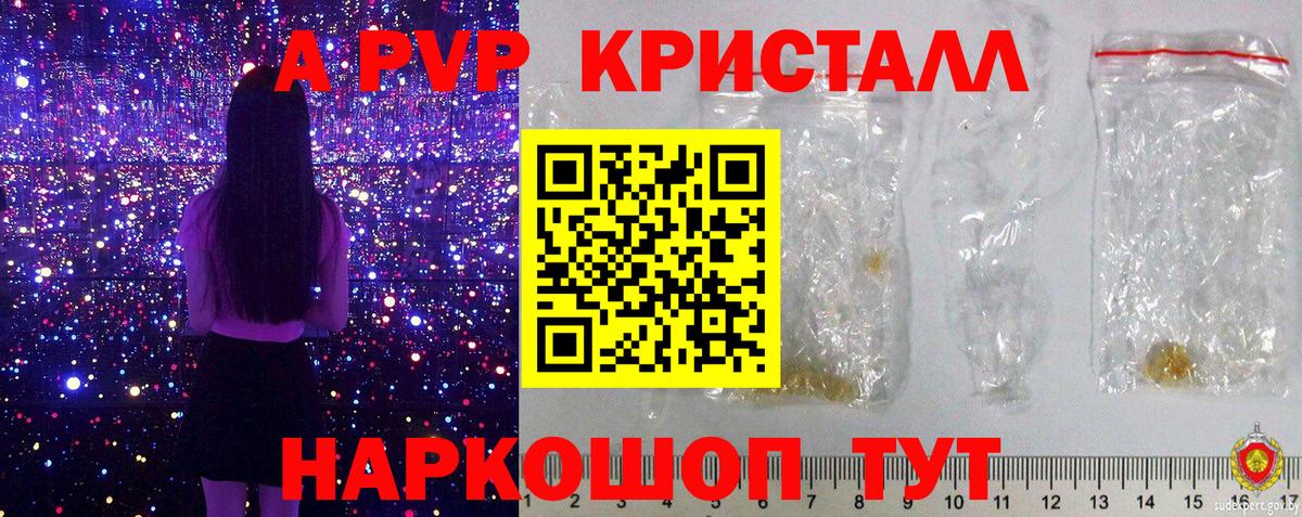 A-PVP СК КРИС Елец