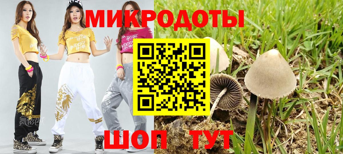 Елец  Галлюциногенные грибы мицелий  Галлюциногенные грибы GOLDEN TEACHER  где купить наркотик  Вход с VPN 